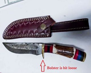 Custom Handmade Damascus Blade - 8.  0 " Hunting Knife With Stag Antler Handle