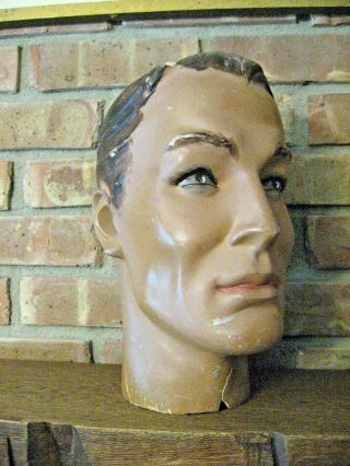 Neat Male Mannequin Head,  Molded Brown Hair -