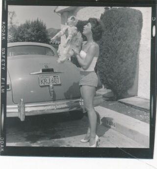 Vintage Contact Sheet Photo 2.  5x.  2.  5 1956 Sexy Pin - Up California Car & Cat 3