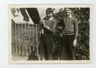 Vintage Photo Boys In Matching Outfits Rooster And Dog Snapshot Found Photograph