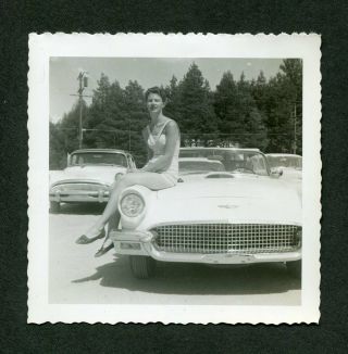 Vintage Car Photo Pretty Girl In Swimsuit On 1957 Ford Thunderbird 421014