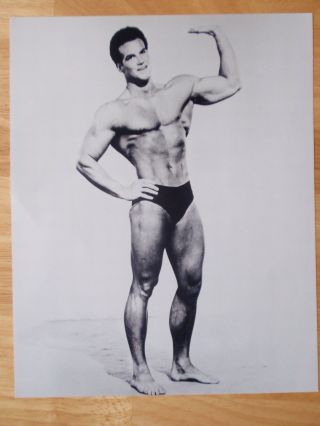 Steve Reeves Bodybuilding Muscle Posing Photo 8 X 10