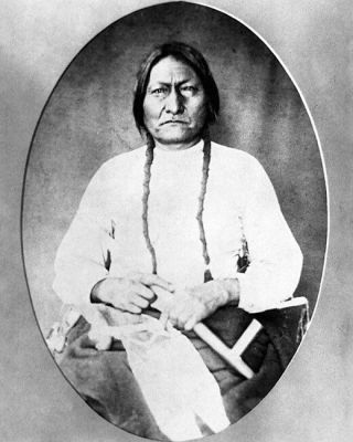 Sioux Chief Sitting Bull 8x10 Silver Halide Photo Print