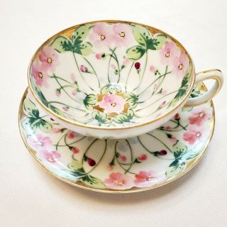 Vintage Hand Painted Floral Bone China Teacup And Saucer