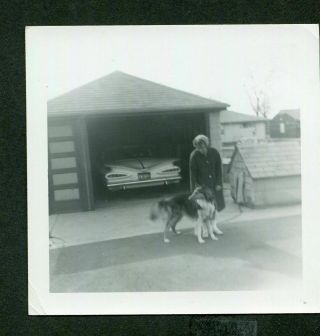 Vintage Photo Woman W/ Pet Collie Dog & 1959 Chevrolet Chevy Car Garage 419025