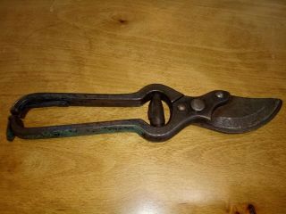 Vintage Seymour Smith & Son Pruners Garden Tool Old Usa Tool 9 - 1/4 " Long