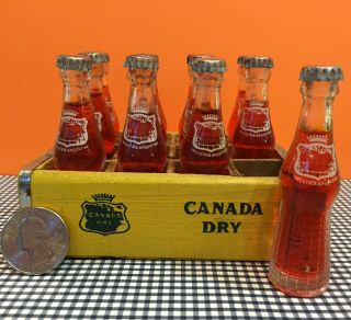 Rare Set Of 12 Vintage Miniature 3 " Canada Dry Orange Soda Bottles & Wood Crate