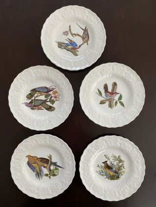 Vtg Alfred Meakin Birds Of America 5 Bread / Dessert Plates 43 17 367 62 18