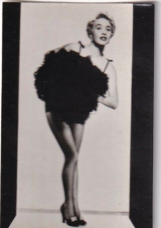 Jane Powell - " Hollywood Dreams " Pin - Up/cheesecake 1950s Equator Cig Card