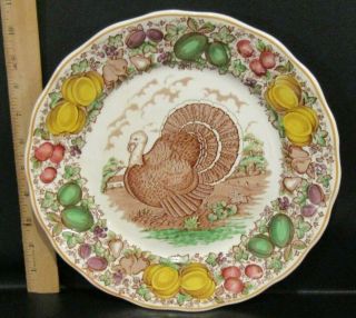 Vintage Royal Tudor Ware - Barker Bros Ltd Turkey Plate - England