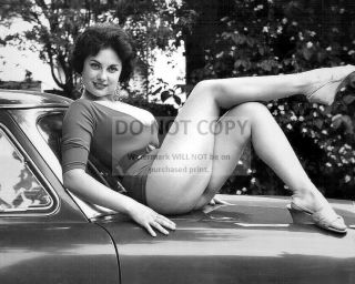 June Palmer Actress And Model Pin Up - 8x10 Publicity Photo (fb - 361)