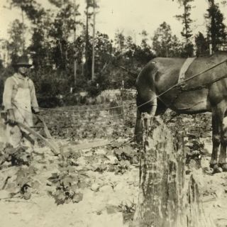 Vintage Black And White Photo Reprint Farmer Horse Pulling Seeder Farm 5 X 4