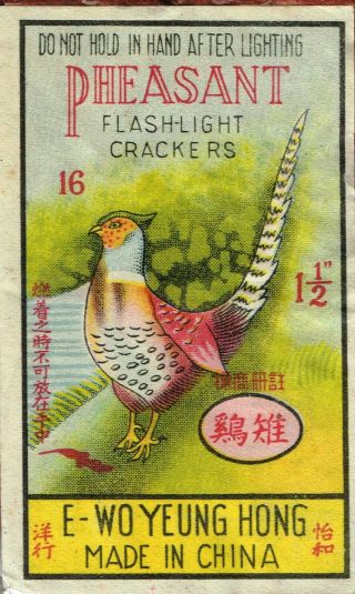 Pheasant 16 