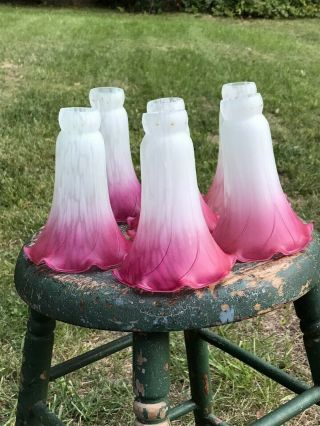 Set Of 6 Pink & White Tulip Lily Trumpet Ruffle Frosted Glass Deco Lamp Shades