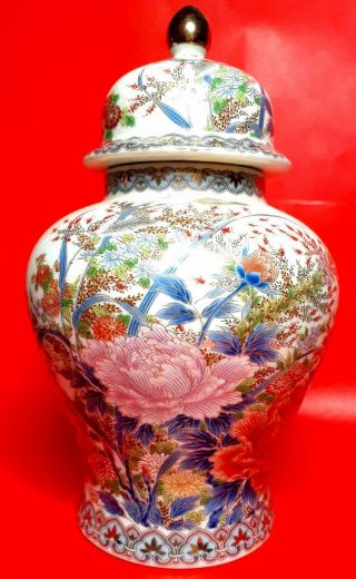 Exquisite Hand Painted Flowers / Butterflies Porcelain Ginger Jar Made In Japan