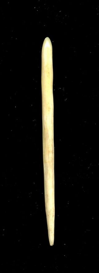 Indian Artifacts - Fine Polished Bone Hair Pin - Glovers Cave Site