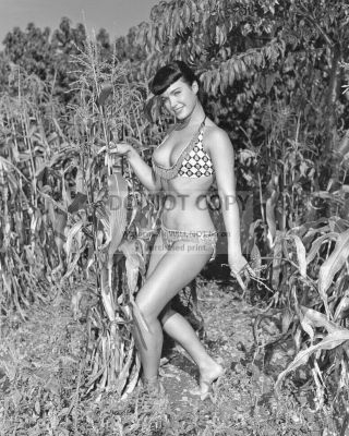 Bettie Page Model And Actress Pin Up - 8x10 Publicity Photo (op - 582)