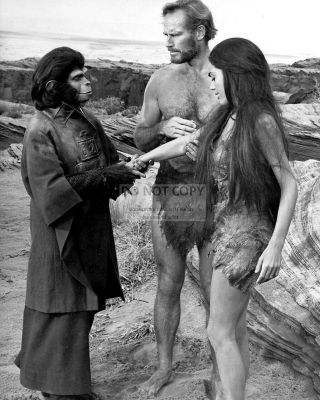 Charlton Heston And Linda Harrison In " Planet Of The Apes " - 8x10 Photo (mw240)
