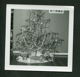 Vintage 1950s Photo Christmas Tree W/ Shiny Brites Ornaments & Tinsel 429187