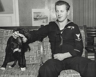 Vintage Photo U.  S.  Navy Sailor Sitting On A Mid Century Sofa Plays With Dog 8x10