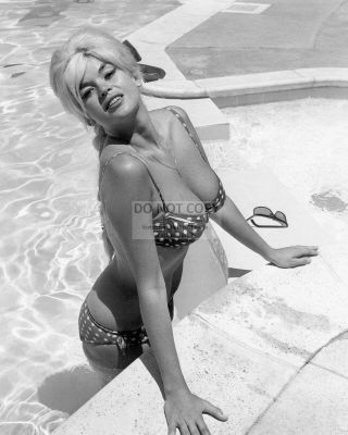 Jayne Mansfield Actress And Sex - Symbol Pin Up - 8x10 Publicity Photo (op - 392)