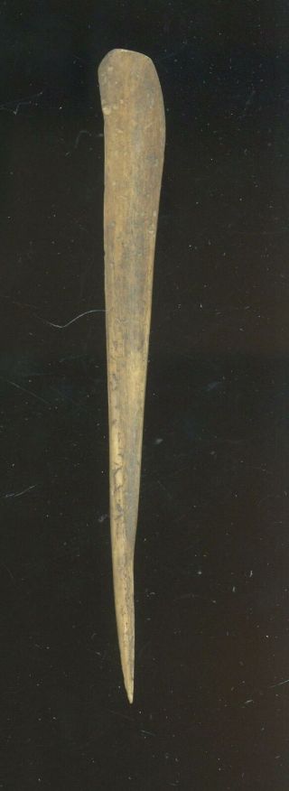 Indian Artifacts - Fine Plished Bone Awl - Glovers Cave Site