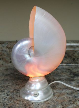 Vintage Pearly Nautilus Sea Shell Lamp Light