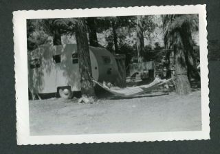 Vintage Photo Man Sleeping In Hammock Travel Trailer Camping 424144