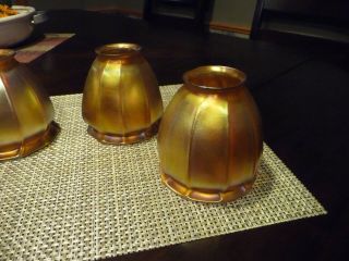 Quezal Art Glass Lamp Shades signed Light Fixture Gold squash blossom 2
