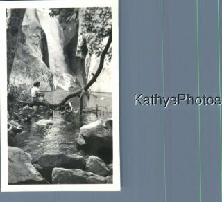 Found B&w Photo K_8173 Woman Sitting On Tree Branch At Tahquitz Falls 1944