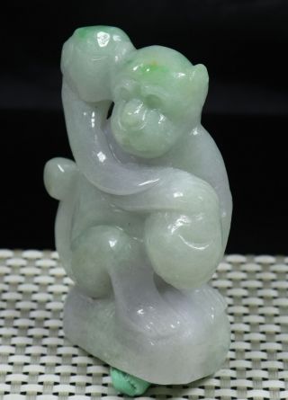 Cert ' d Green 100 Natural A JADE jadeite Small Statue monkey RuYi 991930 3