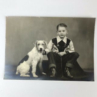 Vintage Black And White Photo Little Boy Fox Terrier Dog Sitting 7 X 5 Inches