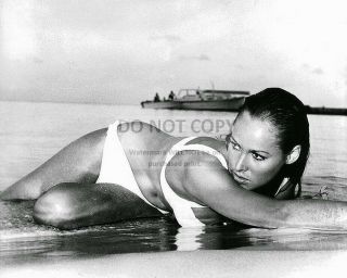 Ursula Andress In The 1962 James Bond Film " Dr.  No " 8x10 Publicity Photo (rt571)