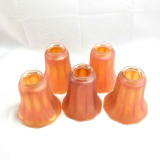 5 Signed Nuart Marigold Carnival Art Glass Iridescent Lamp Shade C1910
