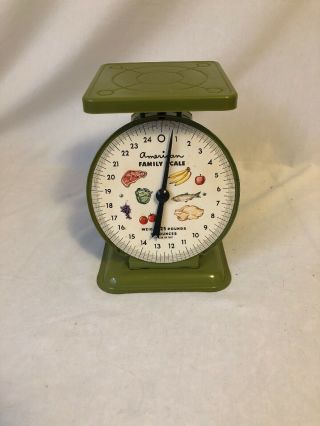 Vintage American Family Scale Avacado Green Kitchen Food 25 Pound Scale