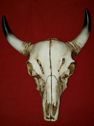 Large Bull/steer/cow Skull W/horns Western/tribal/cowboy Wall Hanging/decor 