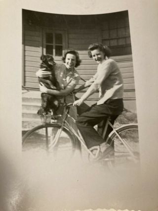 1940’s Photo Snapshot Sexy Women With Puppy Dog And Bicycle Bike
