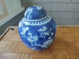 Large Chinese Cherry Blossom Ginger Jar.  Blue And White.  Late 19th C.  9 " Tall