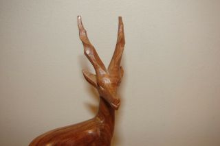 Carved Wood African Gazelle Antelope Art Statue Primitive 2