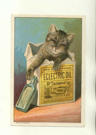 Dr Thomas Eclectic Oil Advertising Trade Card From A G Howard Hamilton Mo