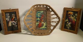 Set Of 3 Vintage Carved Wood Framed&wicker Mexico Hand - Painted Feather Bird Art