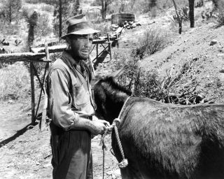 Humphrey Bogart In " The Treasure Of The Sierra Madre " - 8x10 Photo (fb - 823)