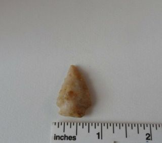 Usg6887 Authentic Arrowhead Artifact Found In South Georgia Usa - 2000 - 700 Bp