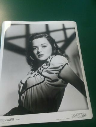 1945 8 X 10 Glossy Photo Of Movie Actress Jane Nigh Ds9154 C