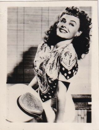 Paulette Goddard - Hollywood Movie Star/actress 1950s Mail - Order Fan Photo/small