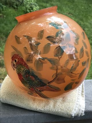 Antique Reverse Painted Parrot Glass Lamp Shade