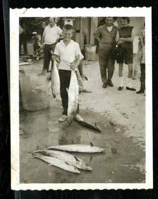 Vintage Polaroid Photo Boy Shows Off Huge Salt Water Fish Catch Florida 1960 