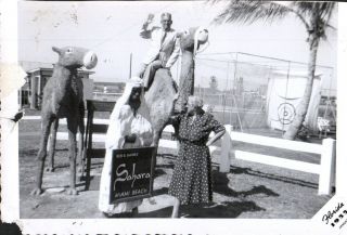 Vintage Photo Sahara Motel Collins Ave Miami Beach Florida 1950s