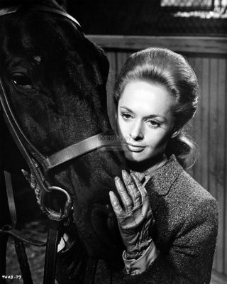 Tippi Hedren In The Alfred Hitchcock Film " Marnie " 8x10 Publicity Photo (nn - 163)