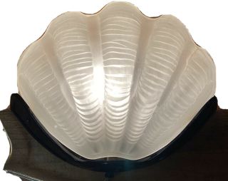Art Deco Clam Shell Wall Lamp Sarsaparilla